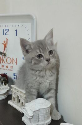 Правильная вязка!