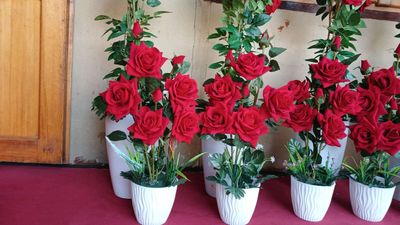 suniy gullar