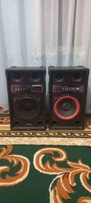 Karaoke p.m.p.o audio system