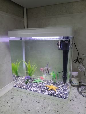 28 litrli akvarium sotiladi Жуда яхши ҳолатда. Барча жиҳозлари билан: