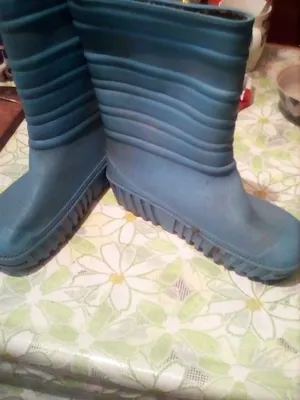 Сапоги резиновые