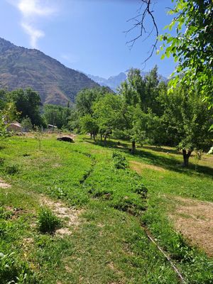 Dacha uchun manzarali joy