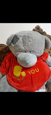 Teddy ayiq