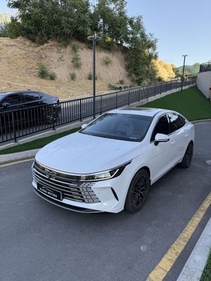 Chazor byd 2 notarius