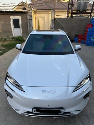 BYD Champion Smart Drive