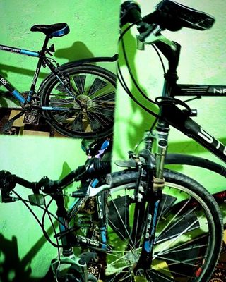 velosiped