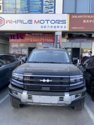 BYD leaport 5.