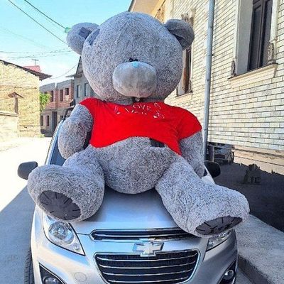 "TEDDI" ayiqchalari (Оптим цена)