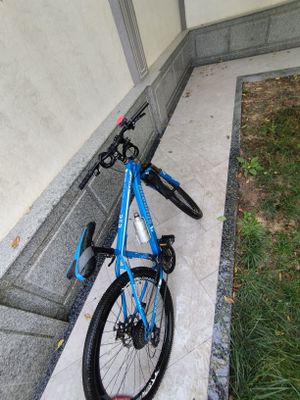 Velosiped,Velik.