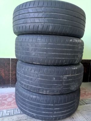 Palon sotiladi tezda