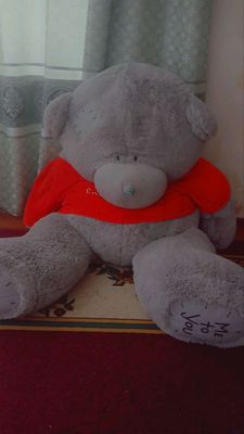 Teddy ayiq 2m
