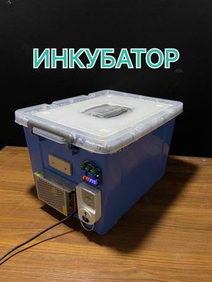 Инкубатор новый для куринных яиц 60штук