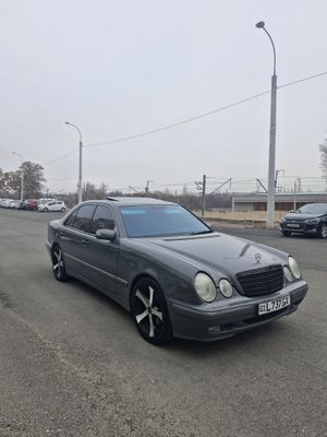 Faqat riyalni oladigan odam tel qisin.