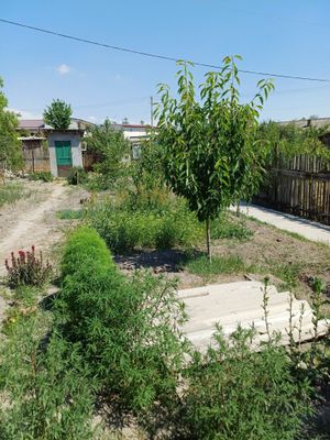 Продаётся дом янгихаетский район