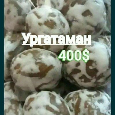 Pryanik tayyorlashni bir kunda o'rgataman. 400$