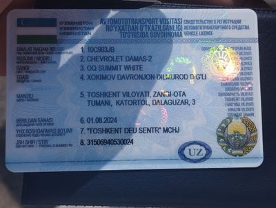 Damaz 2024 d2 minishgs tayor