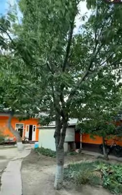 Учаска сотилади Шахристон куча 17 гор больница оркасида 3.8 сот 7та