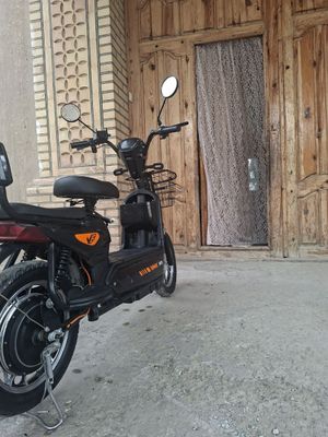 Squter sotladi narxi 3.800
