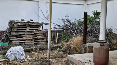 Дрова. Бесплатно
