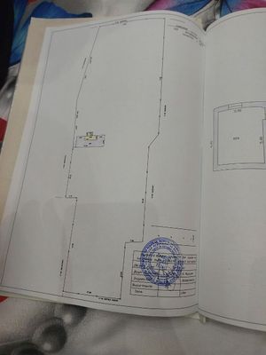 Yer sotiladi 61 Sotix Parkent tumanida