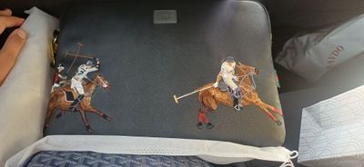 Polo Santa barbara, old money