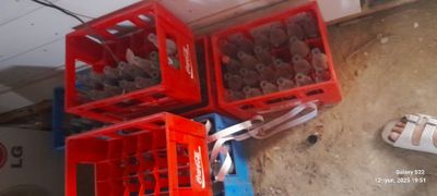 Koka Kola va pepsi butilka tarasi bilan