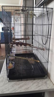 Клетка для попугаев