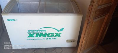 Morozilnik Xingx