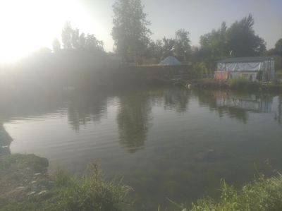 Сдаётся Водоём Для Разведения Рыбы