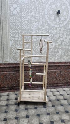 Стенд для ручных попугаев