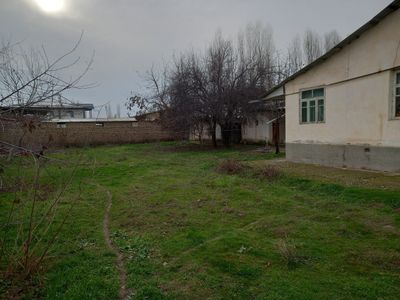 Yangi Uzbekistan bog'i Bolta Chorraxa 8,10 sotix