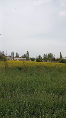 Кибрай! 1-линия Продажа земли под любой бизнес