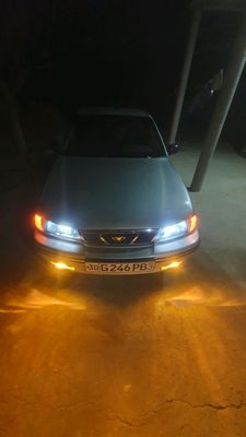 nexia 1 luks