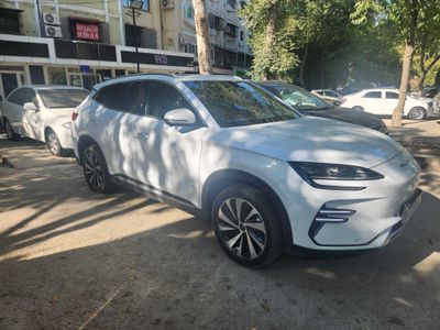 BYD Chempion 605, 2023 EV