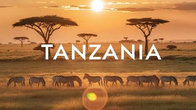 Виза в Танзанию Tanzania vizasi