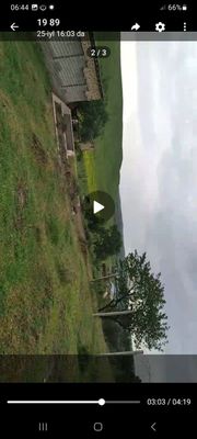 Krasnagorsk dacha