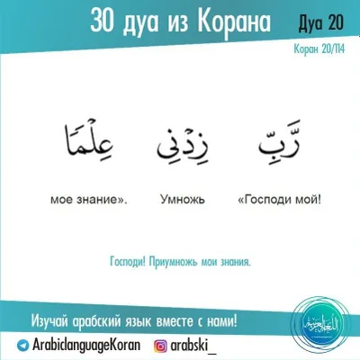 Репетитор арабского языка