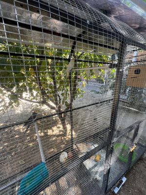 Valer toti qishlari bilan birga sotiladi