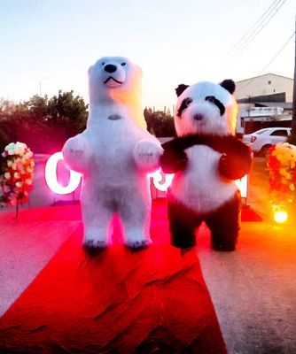 TEDDI Ayiq va Panda sotiladi