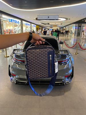 Goyard erkalar sumkasi
