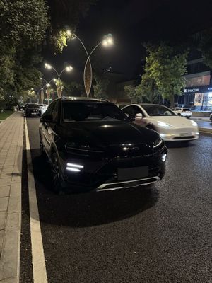 BYD song plus champion