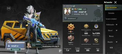 4ta x sueti bor 416 bor