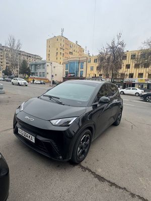 BYD seagull 2023 йил аренда насияга