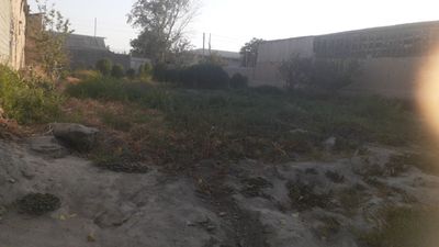 Yer sotiladi 8 sotixdan kuproq