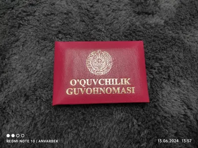 Удостоверение Школьника