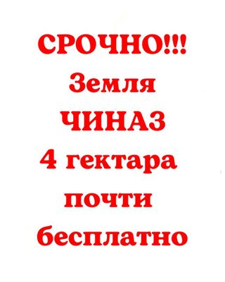 ‼️Срочно Чиназ 4 гектара‼️срочно документы готовы