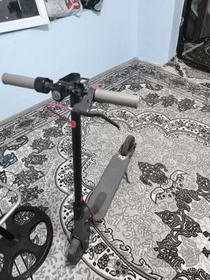 samakat sotiladi