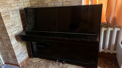 Фортепиано ласточка