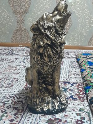 Asalomu aleykum bu boʻrini 250.000 kelishamiz