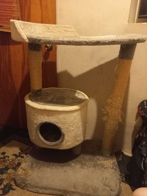 Когтейка когтеточка